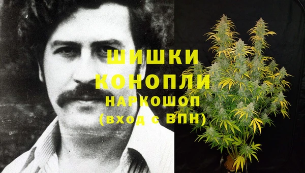 PSILOCYBIN Арсеньев