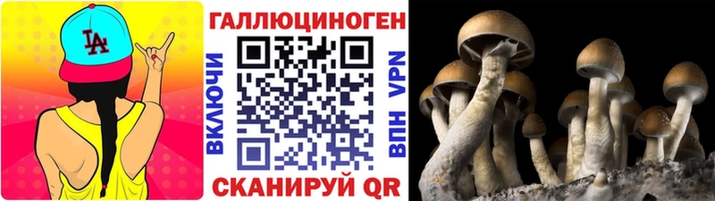 как найти   Унеча  Галлюциногенные грибы GOLDEN TEACHER 