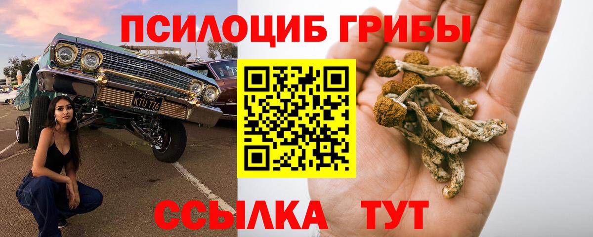 Псилоцибиновые грибы прущие грибы  Вход с VPN  купить закладку  Унеча 