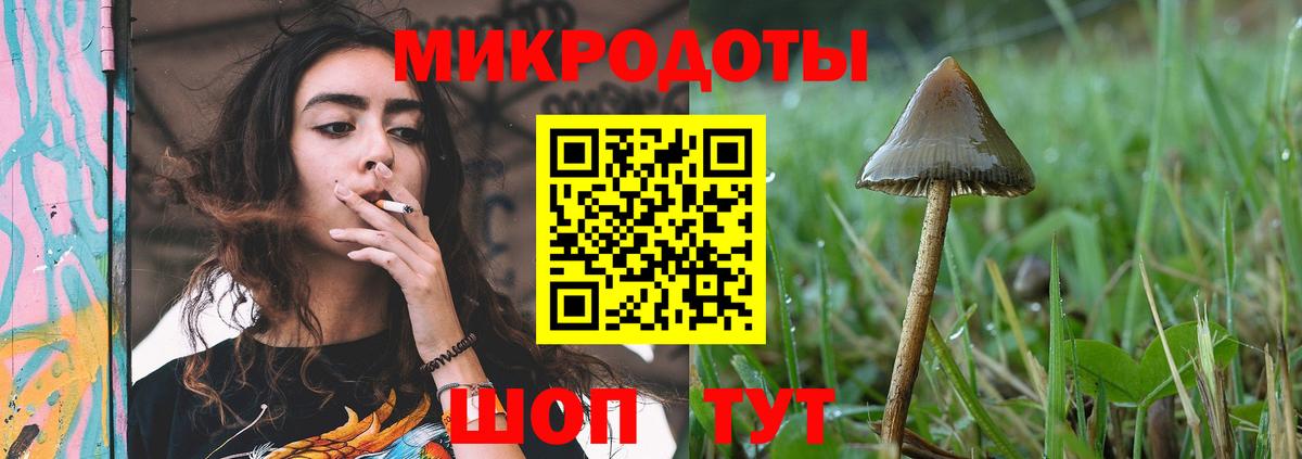 Галлюциногенные грибы мухоморы Унеча